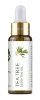 tea tree