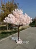 arbre à fleurs c