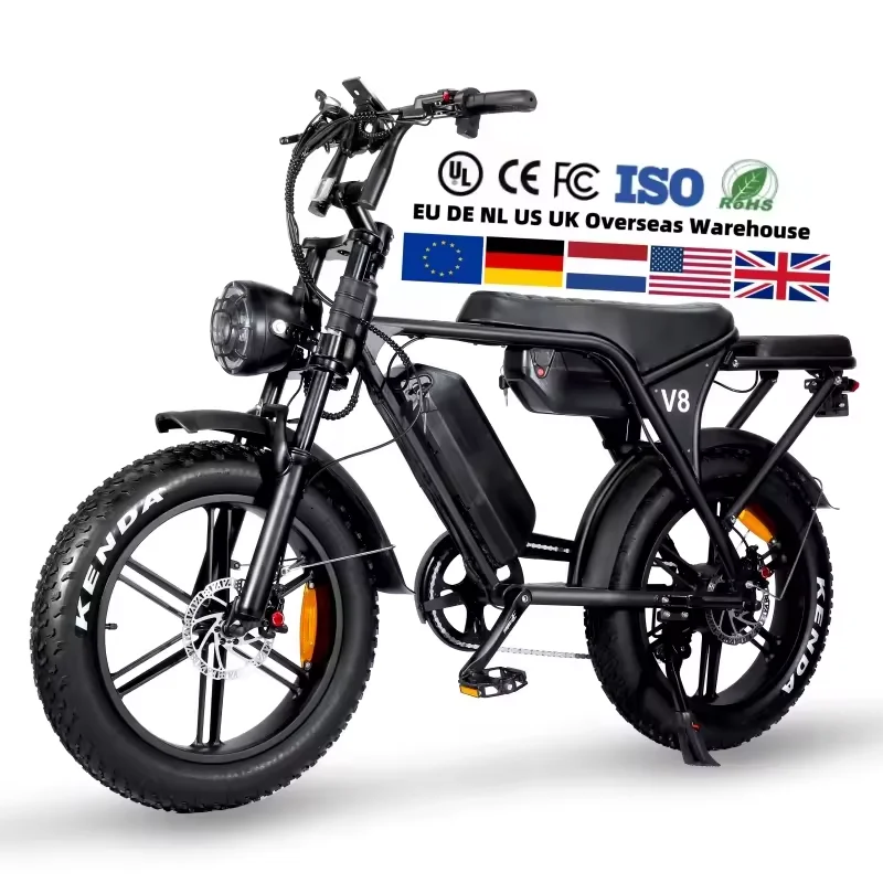 48V Electric Fatbike High Power 500W Motor Dual Battery - Main Image
