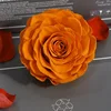 Arancione
