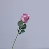 สีม่วง