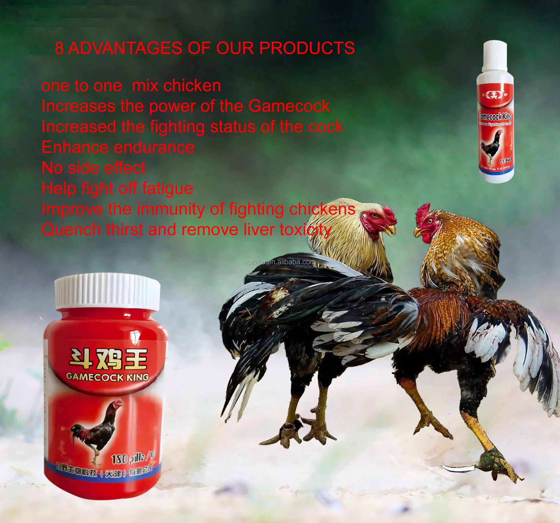 Gamefowl Rooster Vitamins | Immune Support Supplements for Giant Breeds ...