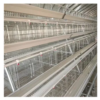 Commercial Broiler Cage: Boiler And Battery Layer Options Chicken Cage