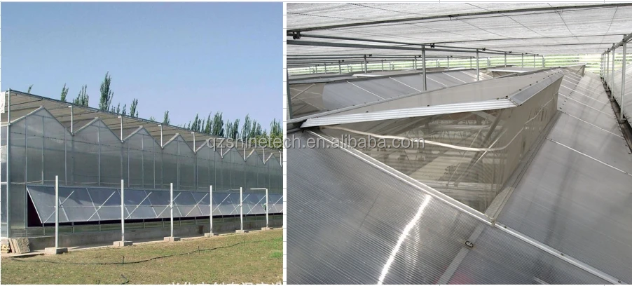 modern farms greenhouse