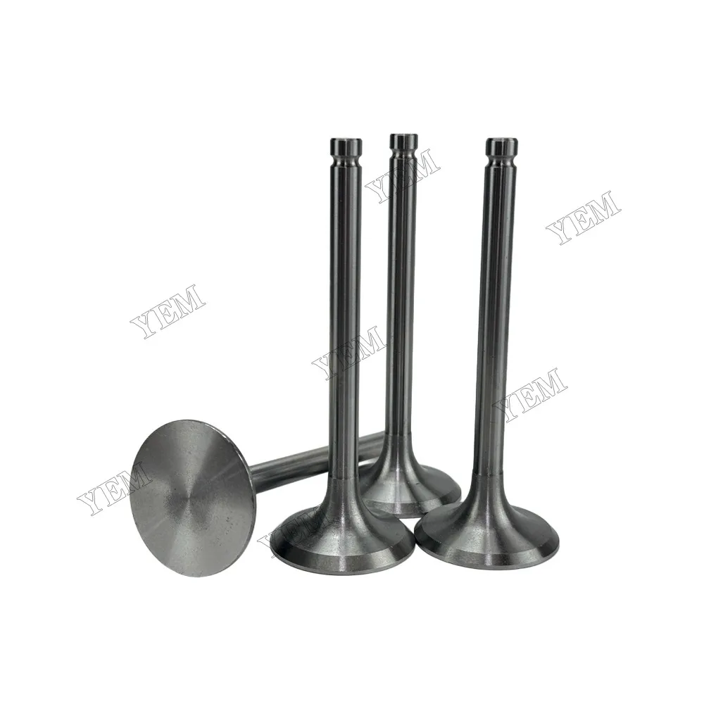 Intake Valve Fit for New Holland SNH4105 Engine 2