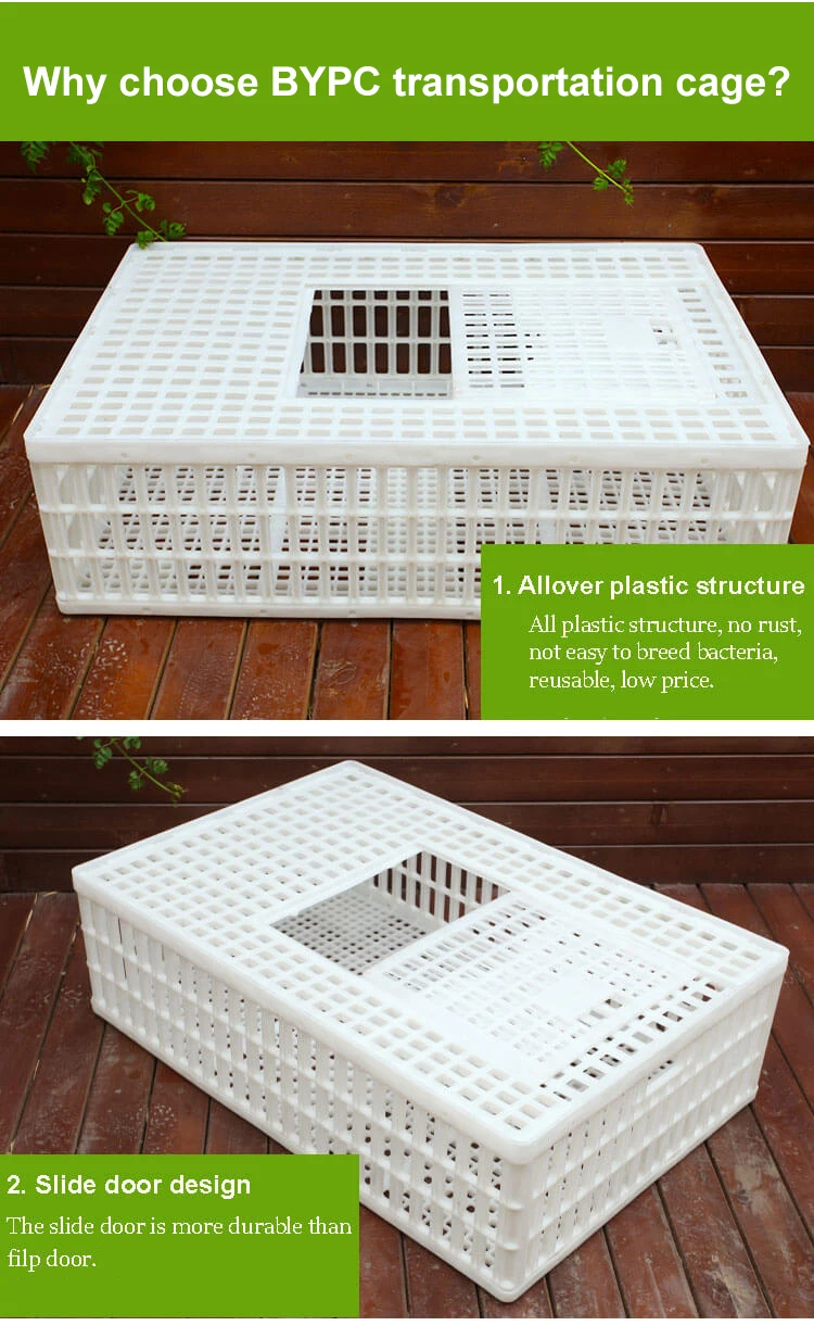 chicken transport cage (5).jpg