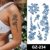 GZ-234