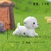 Spotted Dog - Mini