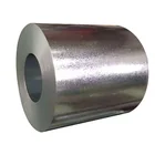 Cold Ppgi Coil Manufacturers PPGI/GI/SECC DX51 Coated Cold Rolled/Hot Dipped Galvanized Steel Coil/Sheet