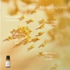 Yihe golden osmanthus