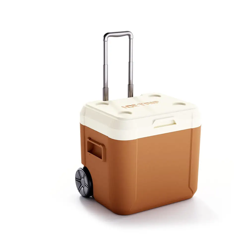 Fish Cooler Cold Box Large Igloo Coolers Portable Outdoor Picnic 52L Coolerbox
