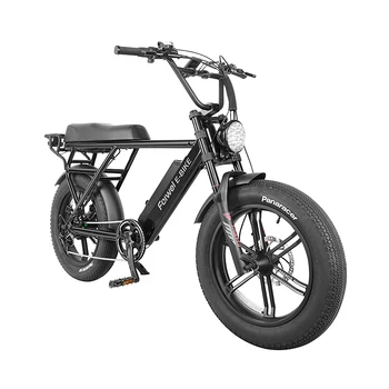 Powerful Electronic Bicycle 20 Inch Fat Tire E bike  Electric Mountain Bike Adult 750W Lithium Battery 48V