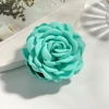 FS037-5 สีเขียว
