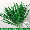 Green five-pronged eucalyptus branch