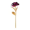 Dark Purple