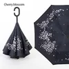 cherry blossom