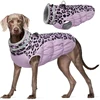 Purple Leopard