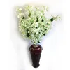 6# White