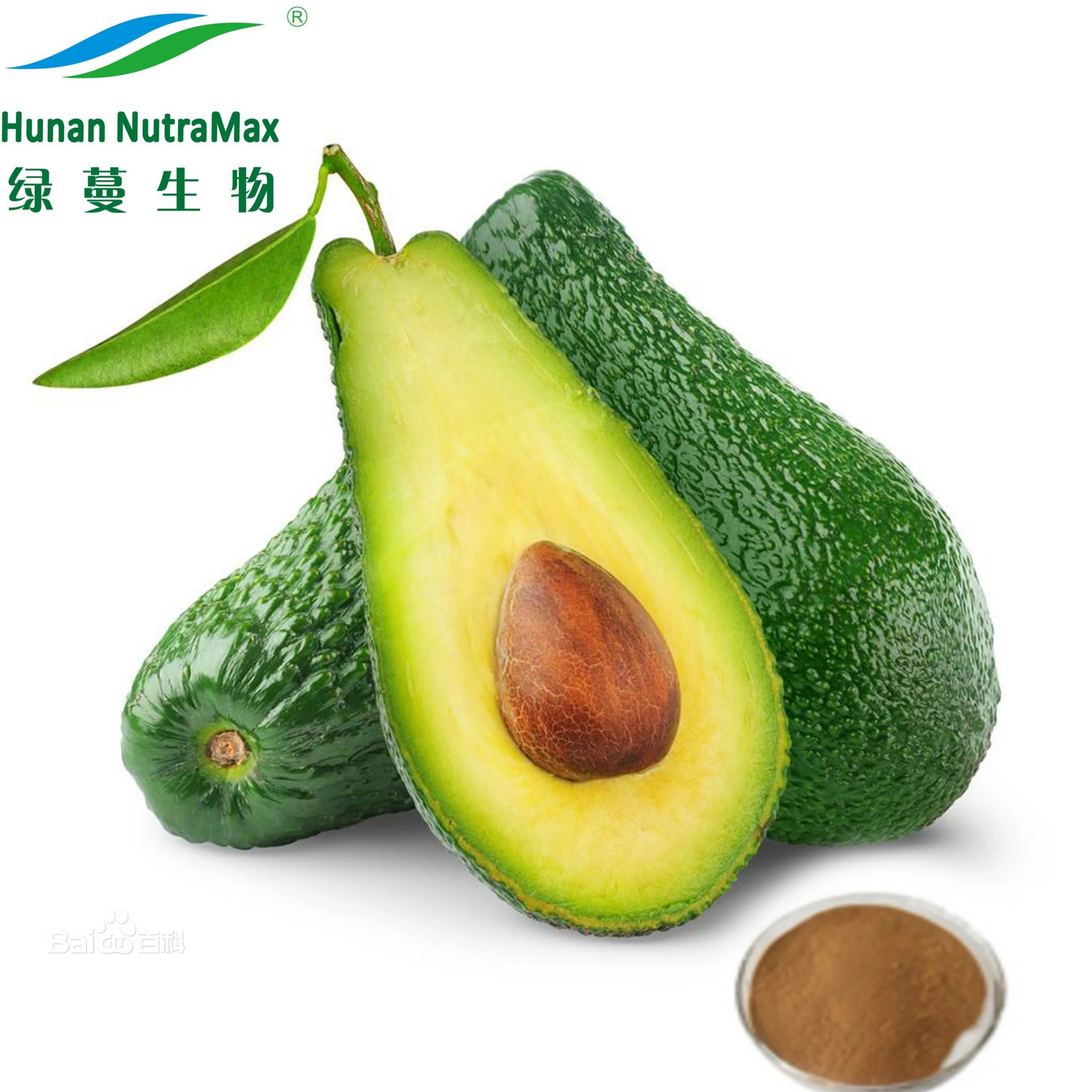 Pyoxanthin Avocado Fruit Instant Powder Persea Americana Powder Avocado Extract 4 ...