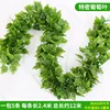 90 grape leaves [5 leaves]