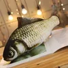 carpa herbívora