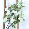 locust flower branches, white