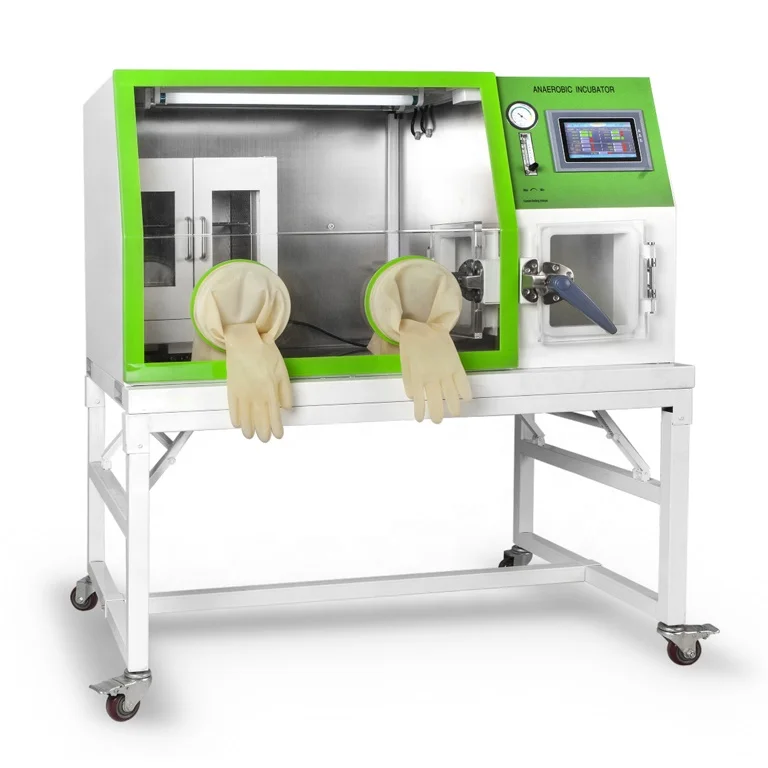 Lowest Price Anaerobic Chamber Box / Laboratory Anaerobic Incubator / Anaerobic Microaerobic System