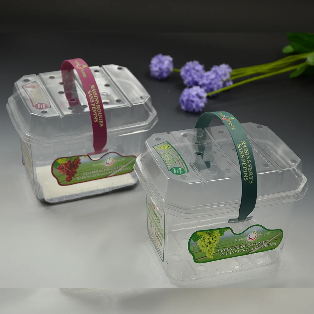 Square Shape Design Disposable Plastic Box Fruit Salad Packaging With Handle Dry Fruits Box Packaging Dried Fruit Box