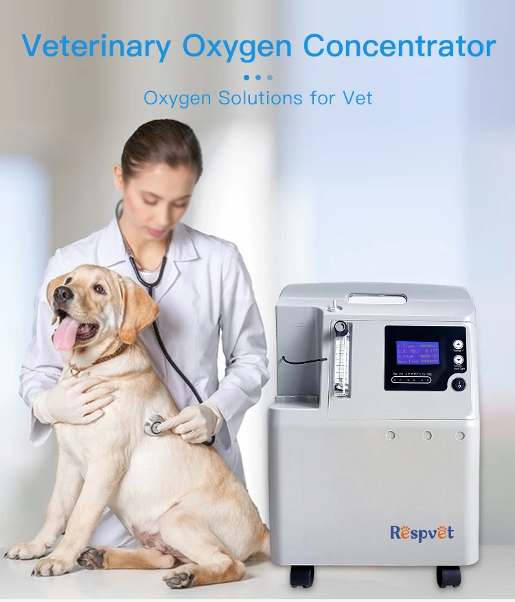 Oxygen Concentrator For Vet Incubator 5l Animal Dog Oxygen Concentrator Buy Vet Oxygen