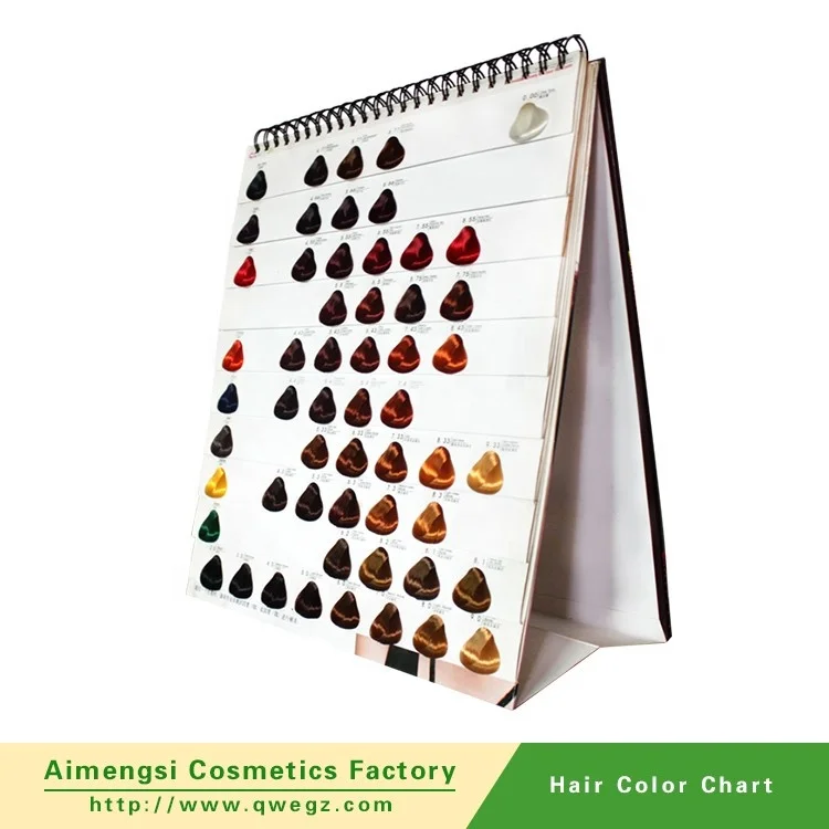 OEM Hair Mesh Custom Size Color Model Hairdressing Salon Hair Color Chart -  China Hair Color Chart and Hair Color price