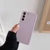 Púrpura