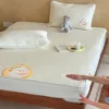 Pear Duck
