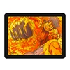 Luffy-2