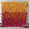 Giallo Arancione Rosso