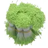 Verde claro