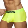 465 Boxer giallo