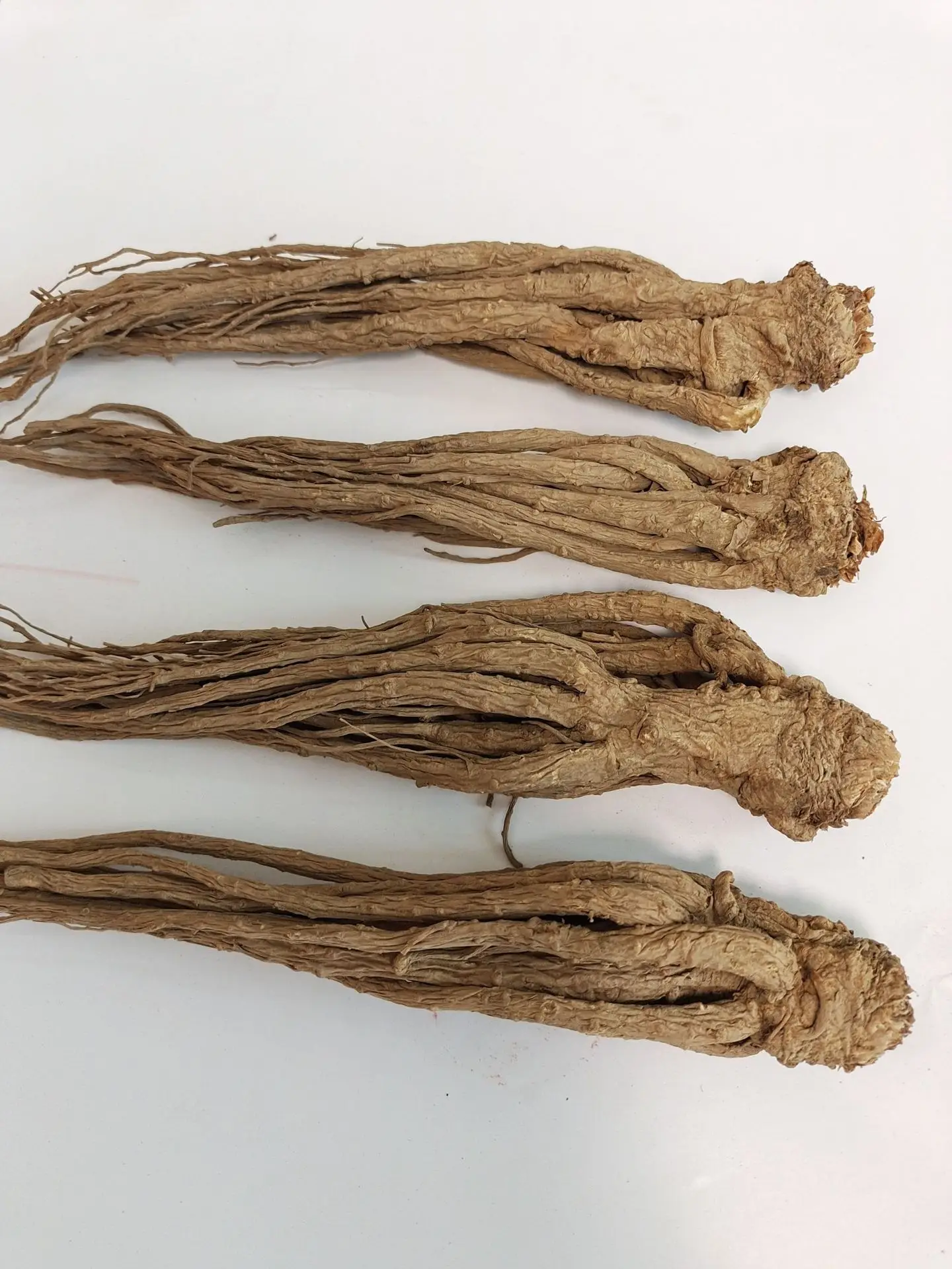 Сушеный на солнце китайский Анжелика Синенсис Radix Angelicae sinensis