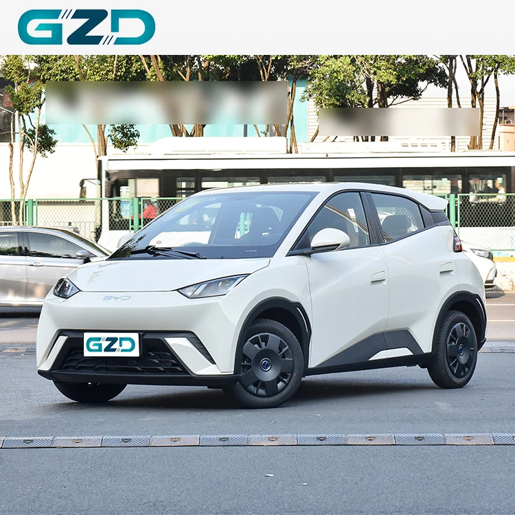 Byd Seagull 2025 International Version Pure Electric Vehicle Mini Car