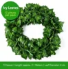 Green Ivy Leaves