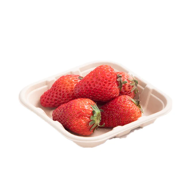 ECO-Friendly Extra Strength White Bagasse Cake Plates Biodegradable and Disposable