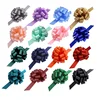 Solid Ribbon