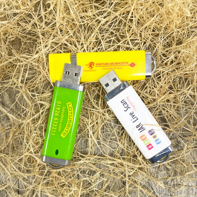 Bulk Cheap Business Gift Plastic USB Flash Drive 1GB 2GB 4GB 8GB 16GB 2.0 USB Stick Pen Drive with Custom Logo - ANKUX.COM