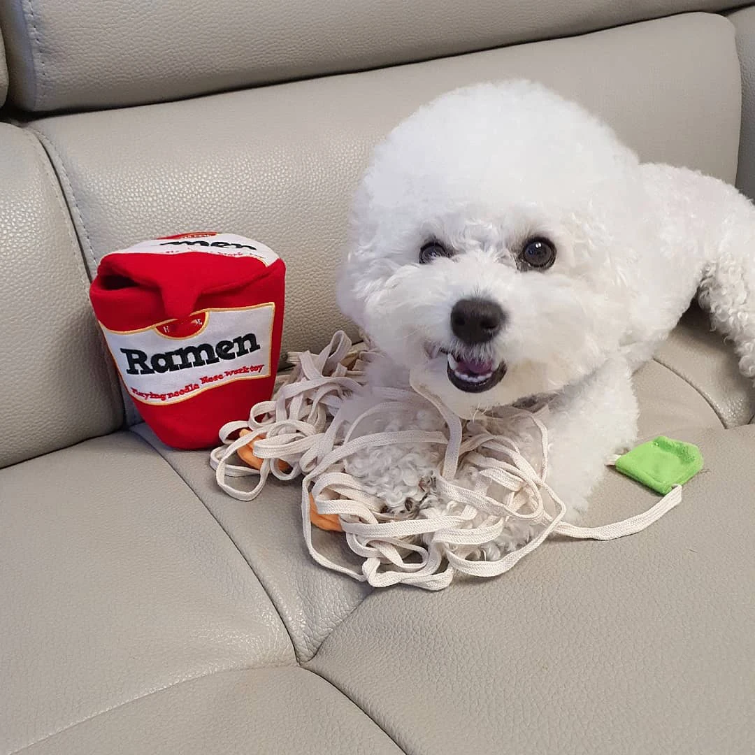 Ramen Noodle Nosework Toy