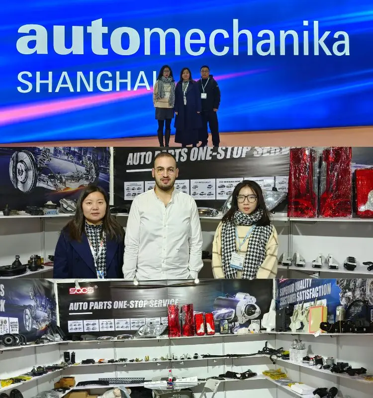 Customized Engine Mount OE NO. 1042002128 for Mercedes Benz W201 W124 W126 with 12 Months Warranty