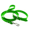 apple green