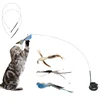 Set3 (pôle * 2 + oiseau * 3 + base * 1)
