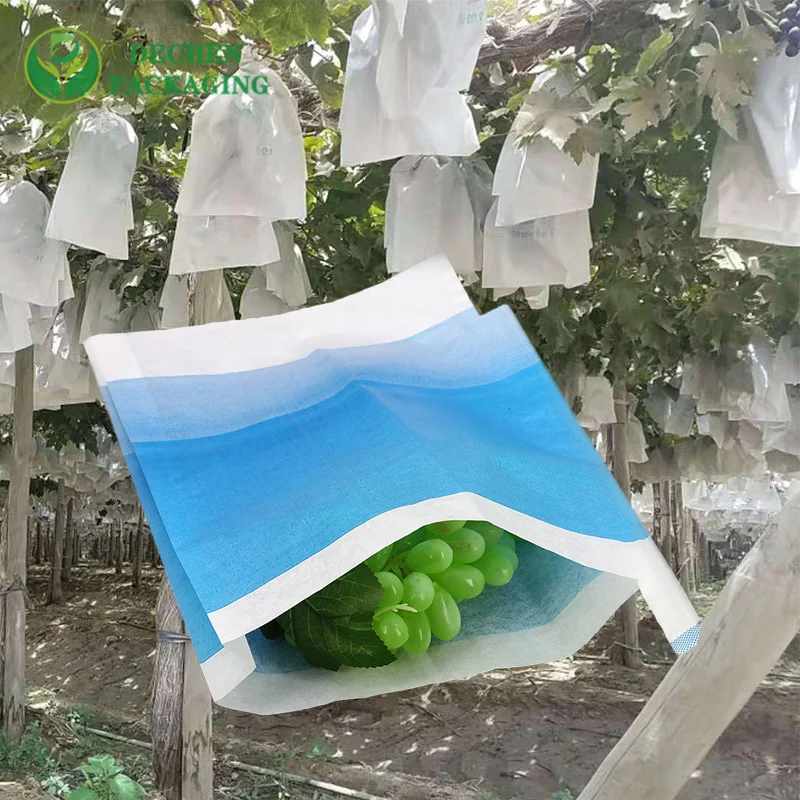 Protection UV de mangue de Kraft pour le sac de raisin de papier de pulpe de bois de haute qualité