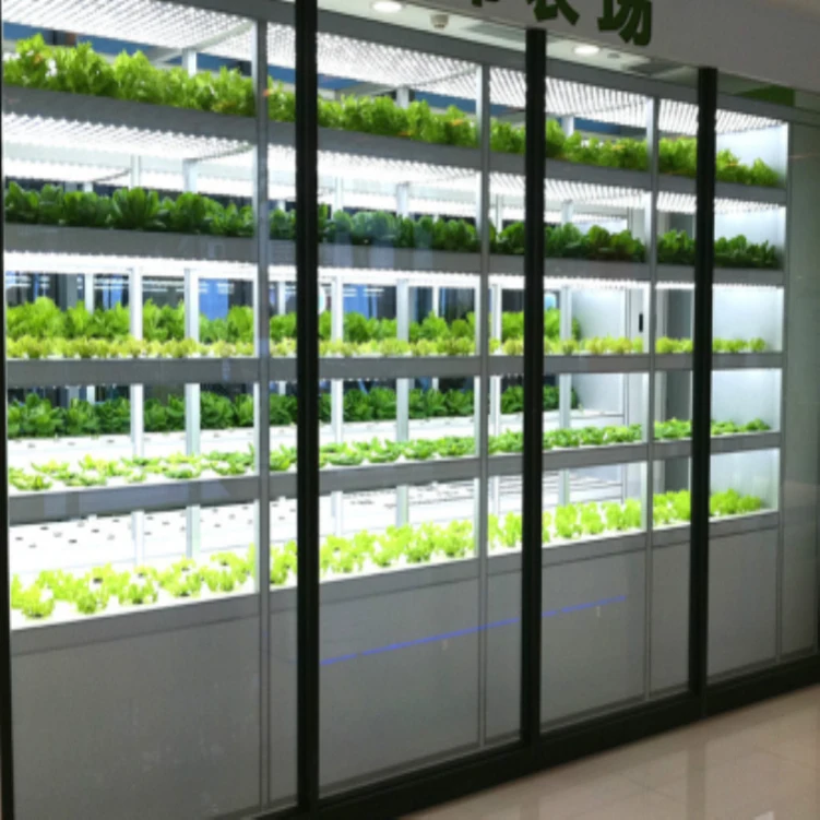 LED育成ランプ 水耕栽培システム 土を使わない野菜・植物