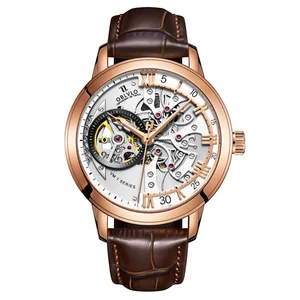 Brown Automatic Mechanical Watch Fashion Hollow Out Flywheel Design Watch Luxury Men's Watch