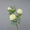 3 roses with burnt edges creamy white